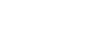 Visualization of Information